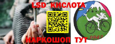 прущие грибы Северобайкальск