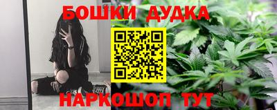 прущие грибы Северобайкальск